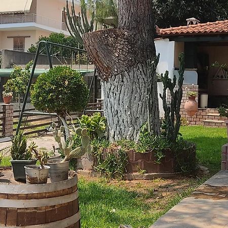 Alice House 1 Apartment Amarynthos Luaran gambar