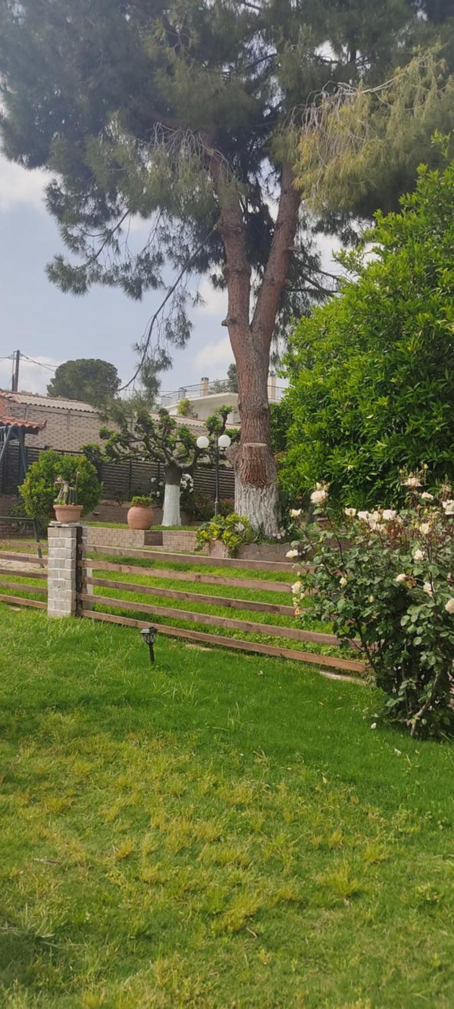 Alice House 1 Apartment Amarynthos Luaran gambar